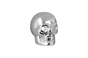 Zodiac Cobalt Skull Marker Lights – Electric & Light