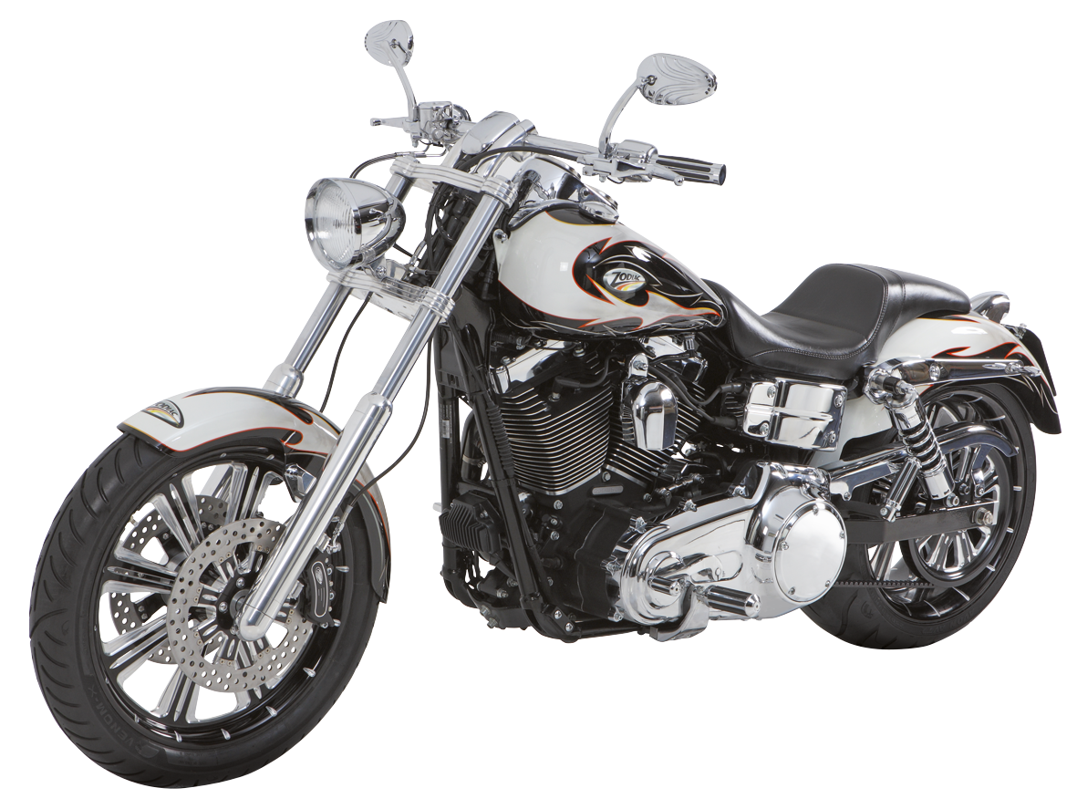 Zodiac Ton Pels Signature "naked Bubba" Front Forks