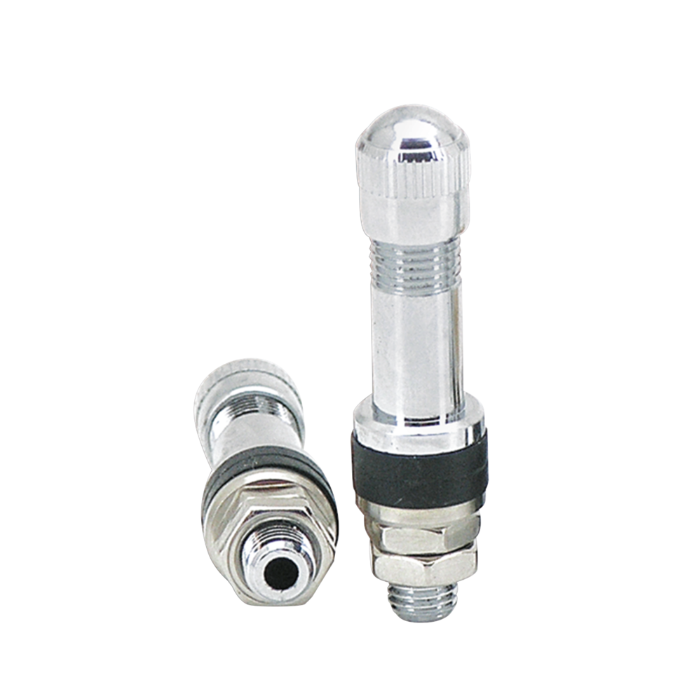 Zodiac Tubeless Tire Valves – Wheel & Tire