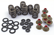 Kibblewhite High Performance Ovate Wire Beehive Valve Spring Kits – Engine