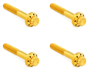 Arlen Ness Titanium 12-POINT Front Fender Bolts – Hardware