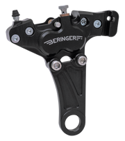 Beringer Brake System