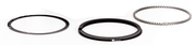 Hastings Piston Ring Sets – Engine