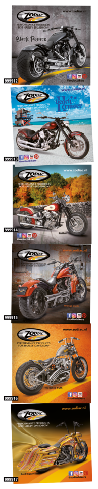 Zodiac Show Bike Stickers – Helmets