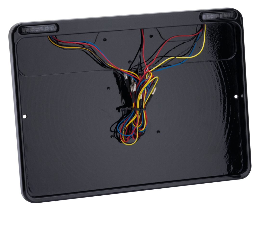 DMP License Plate Frame with Lights – Electric & Light