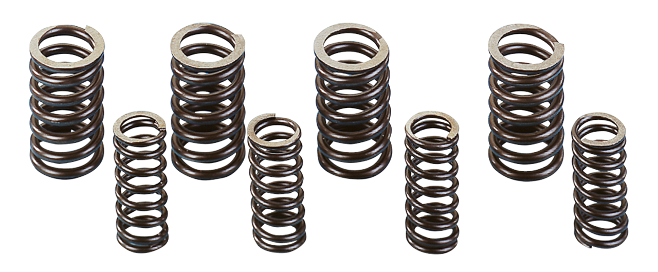 Eastern MC Parts Stock Replacement Valve Spring Sets – Engine