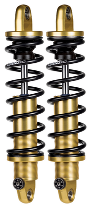 Legend Suspension Revo-A – Frame & Rear Suspension